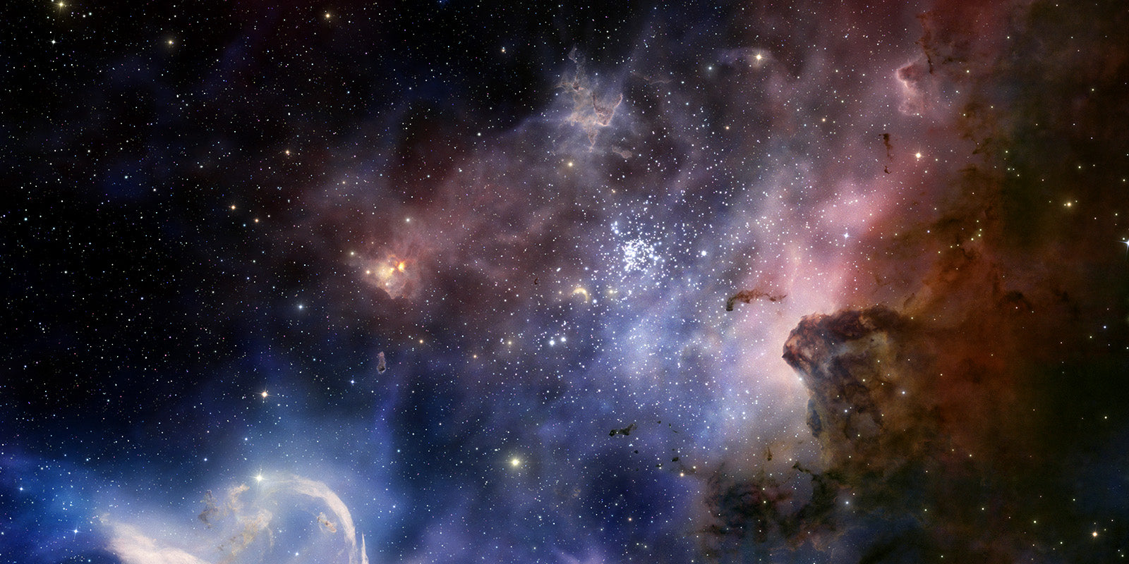 New Products, New Universe